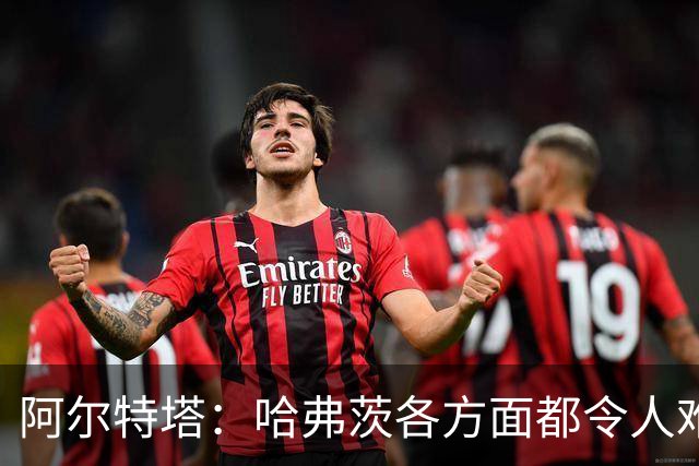 阿尔特塔：哈弗茨各方面都令人难以置信